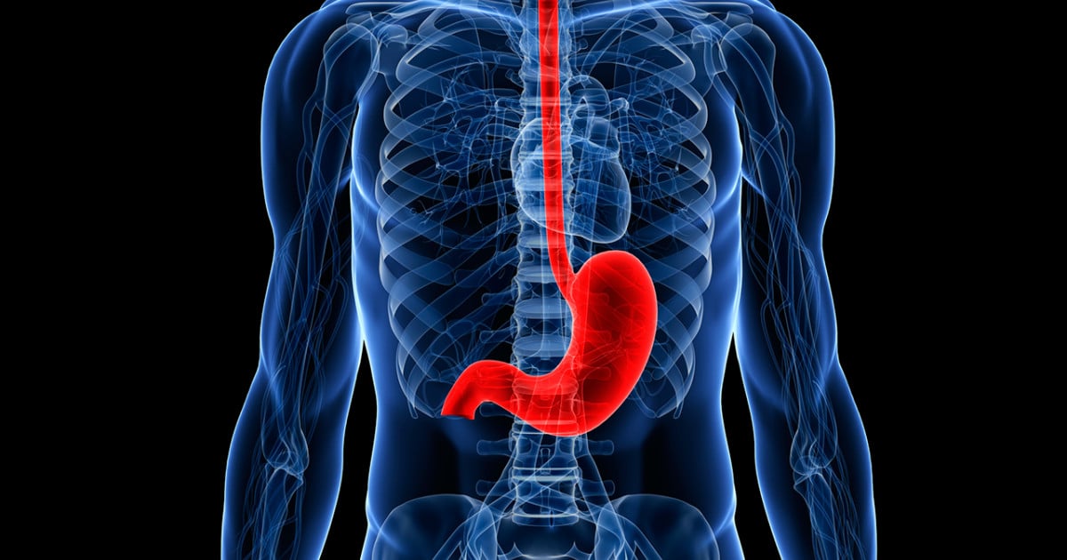 Doenças no estômago e esôfago